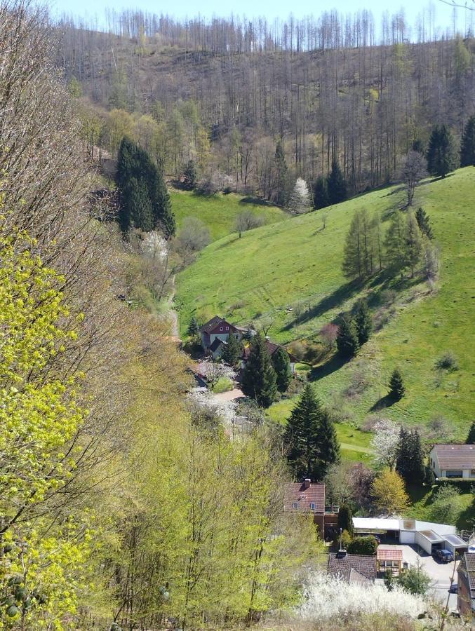 Ferienwohnung Olifant In Osterode Osterode am Harz Exterior foto